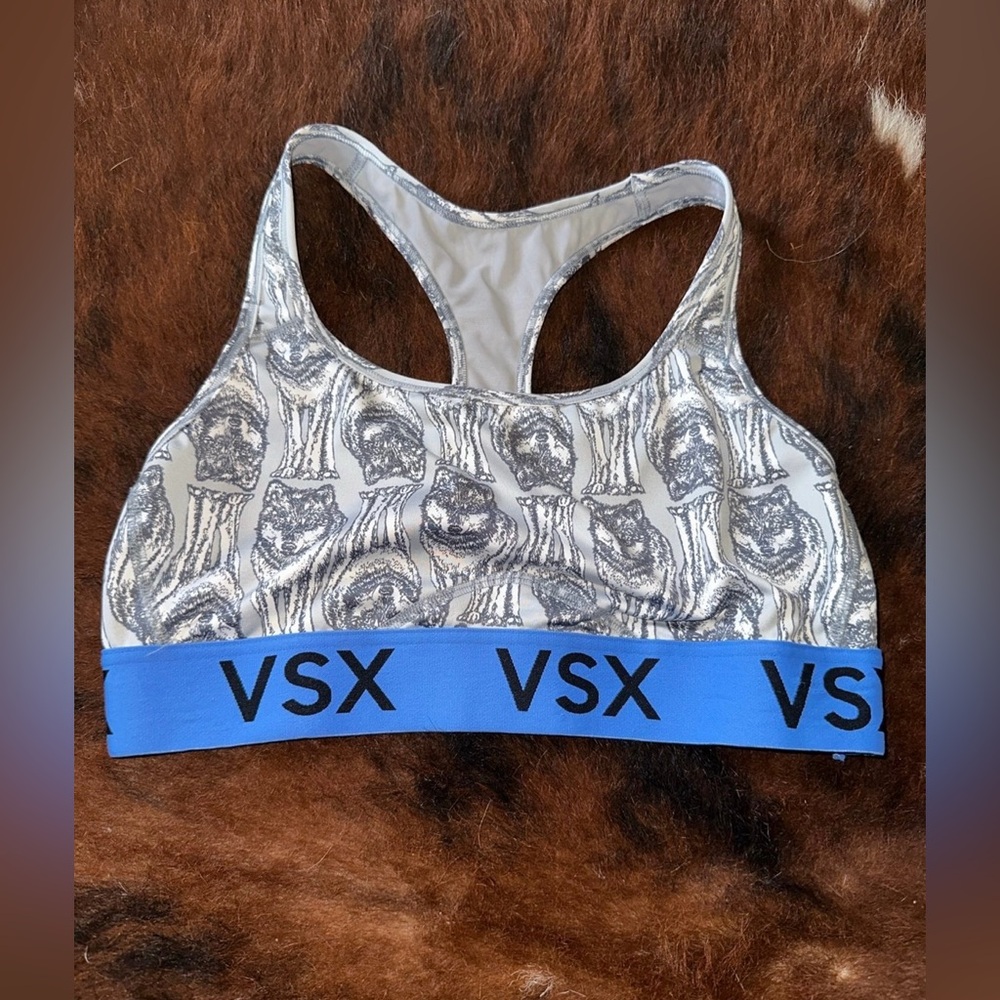 VSX Sports Bra with Blue Band
